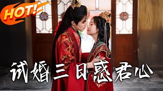 试婚三日惑君心