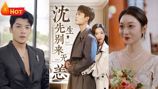 沈先生，别来无恙