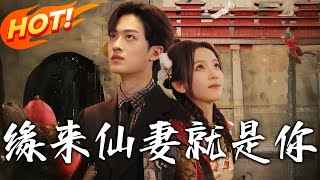 緣來仙妻就是你