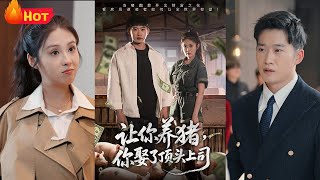 讓你養豬，你娶了頂頭上司