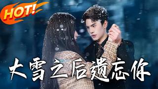 After the Heavy Snow, I Forgot You