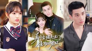 真千金替妹嫁，植物人封少认真求婚