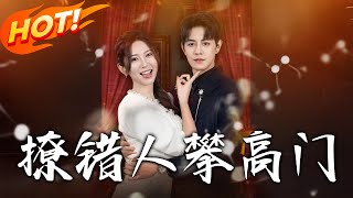 撩错人攀高门