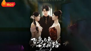 飛鳥與魚不同路