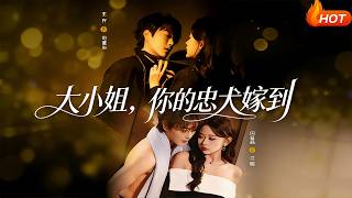 大小姐，你的忠犬嫁到