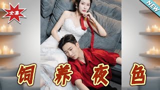 饲养夜色