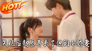 After Amnesia, Mr. Zhao Lost His Little Wife