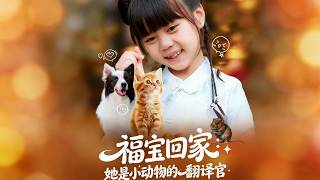 福宝回家：她是小动物的翻译官