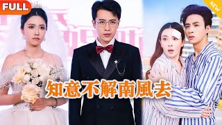 知意不解南风去