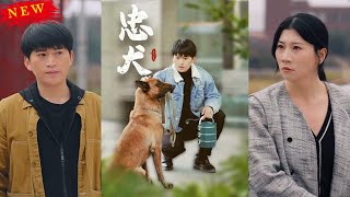 忠犬大黃的正義之擧