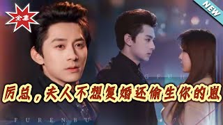 Mr. Li, Your Ex-Wife Doesn't Want to Remarry But Had Your Baby