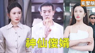 神仙傻婿