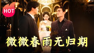 微微春雨無歸期