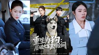 Reborn as a Dog: Solving Major Cases and Shocking the Internet