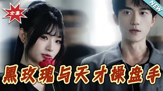 黑玫瑰与天才操盘手