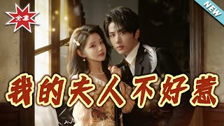 我的旅长夫人不好惹