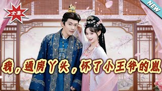 我，通房丫头，怀了小王爷的崽